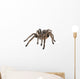 Tarantula Wall Decal
