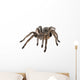 Tarantula Wall Decal