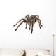 Tarantula Wall Decal