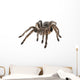 Tarantula Wall Decal