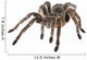 Tarantula Wall Decal