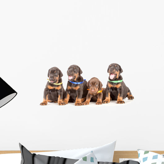 Group Dobermann Puppies