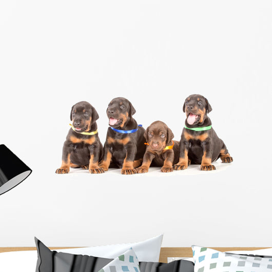 Group Dobermann Puppies