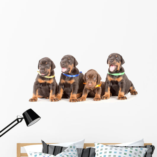 Group Dobermann Puppies
