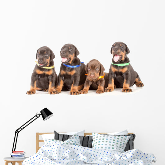 Group Dobermann Puppies