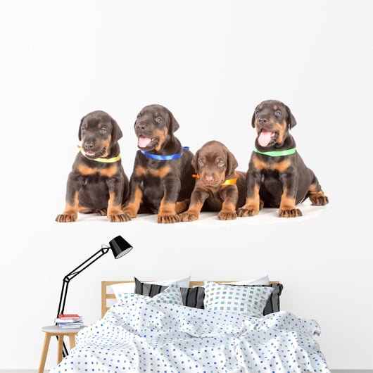 Group Dobermann Puppies