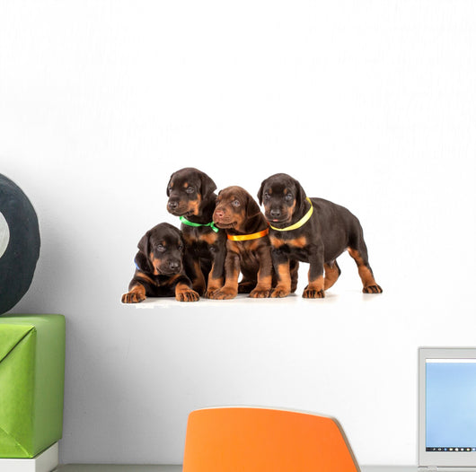 Group Dobermann Puppies