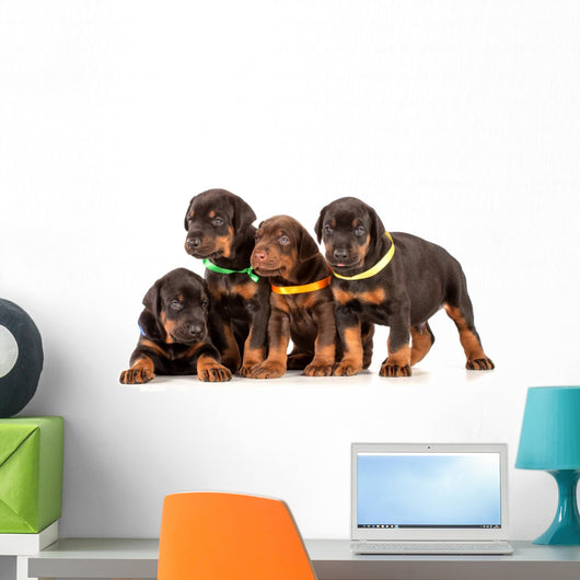 Group Dobermann Puppies
