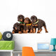 Group Dobermann Puppies