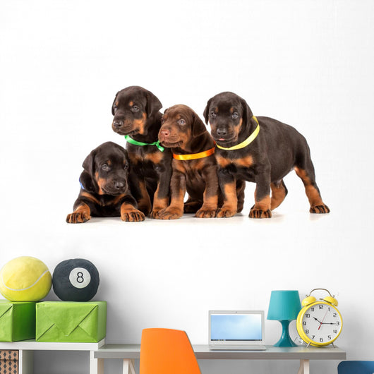 Group Dobermann Puppies