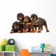 Group Dobermann Puppies