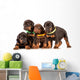 Group Dobermann Puppies