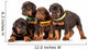 Group Dobermann Puppies