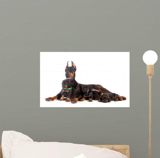 Doberman Dog with Puppies
