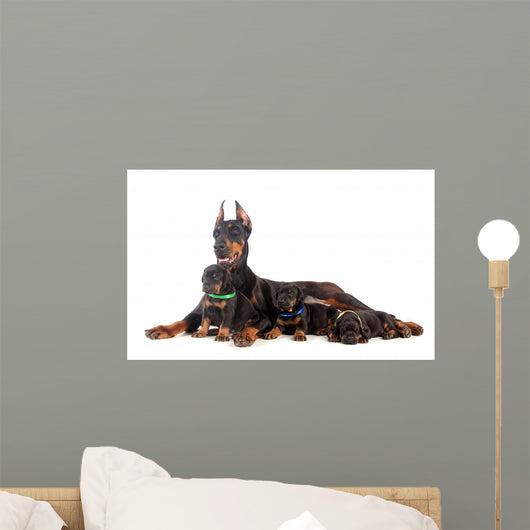 Doberman Dog with Puppies