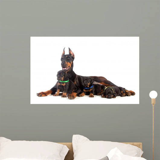 Doberman Dog with Puppies