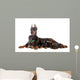 Doberman Dog with Puppies