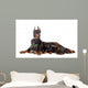Doberman Dog with Puppies