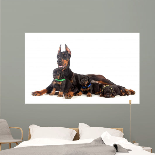 Doberman Dog with Puppies