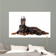 Doberman Dog with Puppies