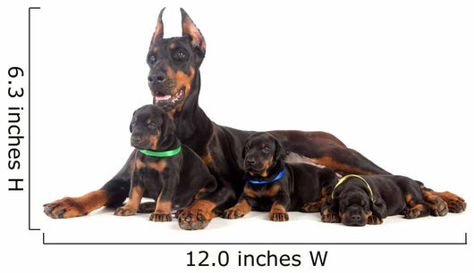 Doberman Dog with Puppies