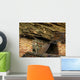 Rock Homes Wall Mural