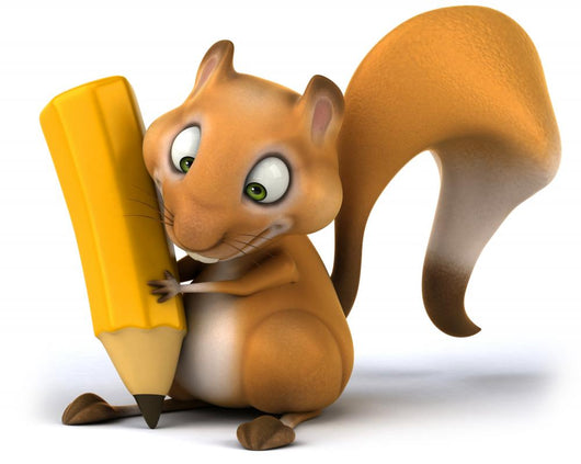 Fun Squirrel Wall Decal