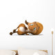 Fun Squirrel