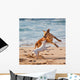 Dogs Playing Beach Wall Mural