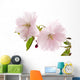 Zierkirschblten Wall Decal