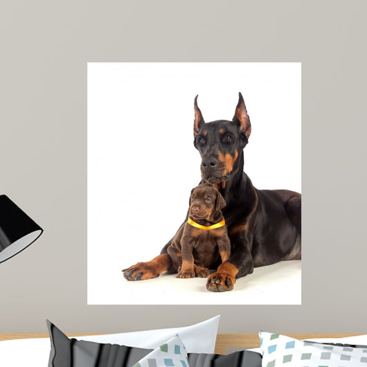 Doberman Dog with Puppy