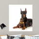 Doberman Dog with Puppy