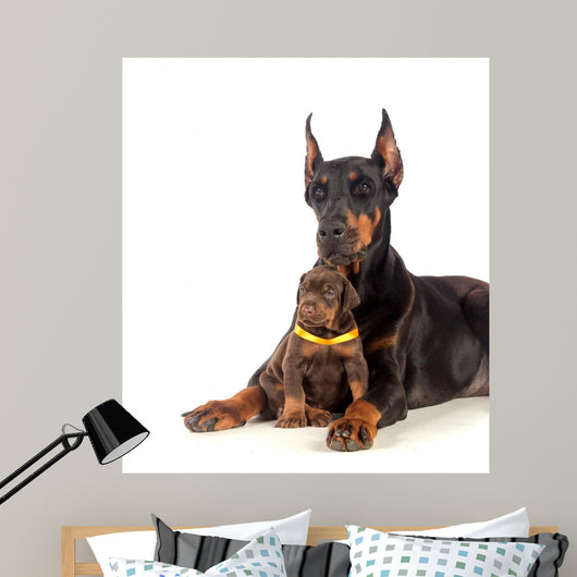 Doberman Dog with Puppy