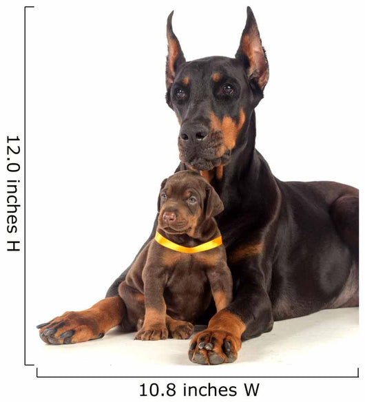 Doberman Dog with Puppy