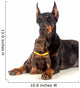 Doberman Dog with Puppy