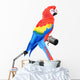 Colorful parrot macaw Wall Decal