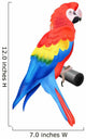 Colorful parrot macaw Wall Decal