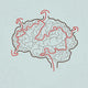 Brain Maze with Correct