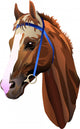 head redhead riding horse Wall Decal