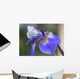 Iris Flower Wall Mural