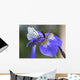Iris Flower. Wall Mural