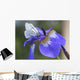 Iris Flower. Wall Mural