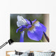Iris Flower. Wall Mural