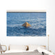 Stone Pyramid Protruding from