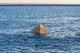 Stone Pyramid Protruding from