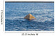 Stone Pyramid Protruding from