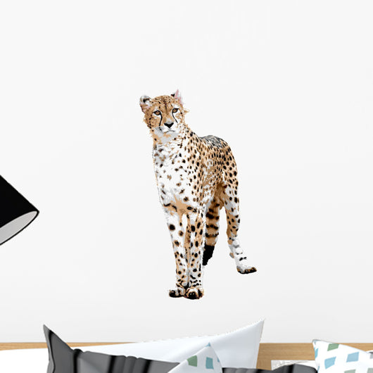 Cheetah Painting