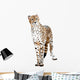 Cheetah Painting
