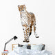 Cheetah Painting