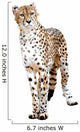 Cheetah Painting